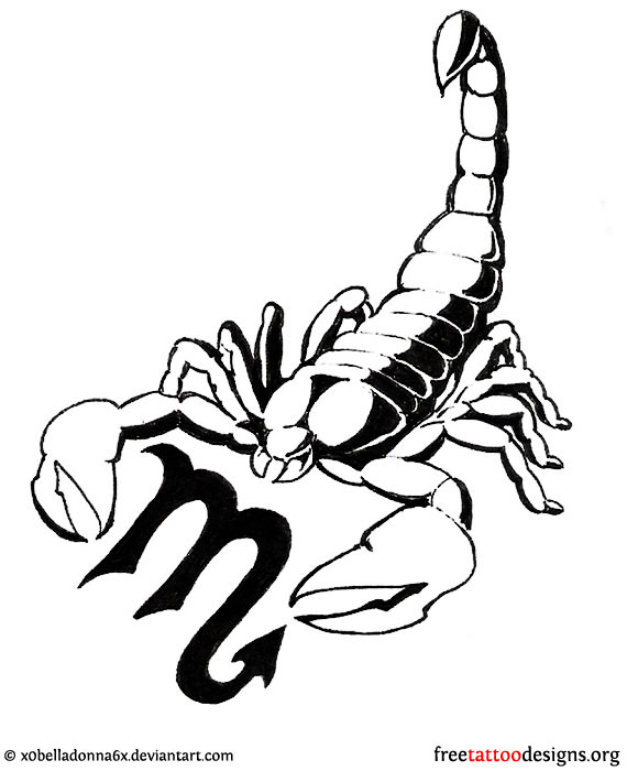 570x700 Scorpion Drawings For Girls Scorpio Symbol And Scorpion Tattoo