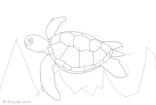 500x337 Learn How To Draw A Sea Turtle Using These Easy Instructions