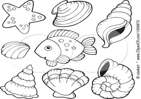 476x333 Simple Conch Shell Coloring Page Image Clipart Images