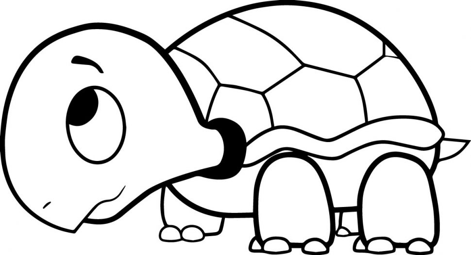 970x526 Coloring Pages Coloring Pages Draw A Turtle Sea For Kids