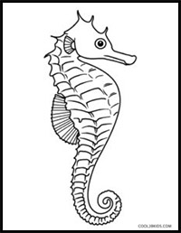 200x258 How To Draw Seahorses Drawing Tutorials Amp Drawing Amp How To Draw