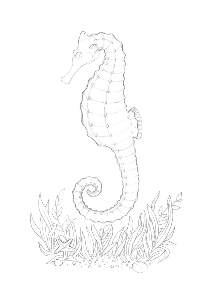 850x1163 How To Draw A Seahorse With Black And Grey Ink Liners