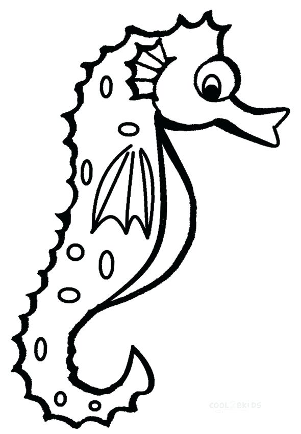 590x850 Seahorse Coloring Pages For Adults Unit Study Best Coloring
