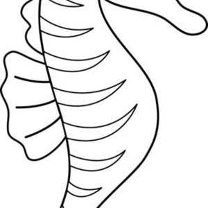 300x300 Cute Seahorse Coloring Pages Clipart Panda