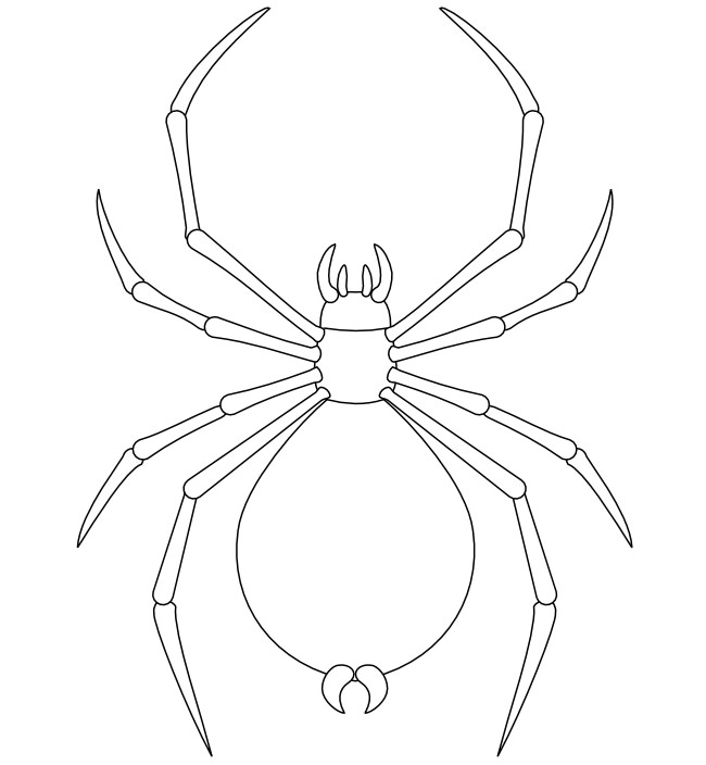 650x704 Spider Shape Template