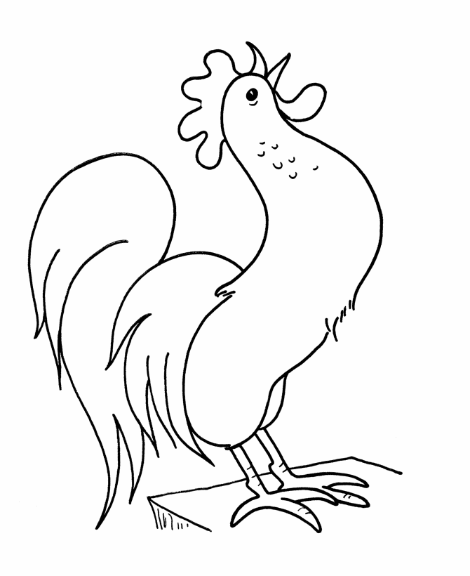 670x820 Learning Years Rooster Coloring Page