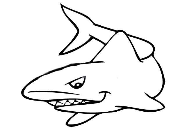 Simple Shark Drawing