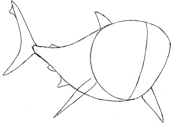 550x395 How To Draw Bruce From Finding Nemo With Simple Steps Lesson