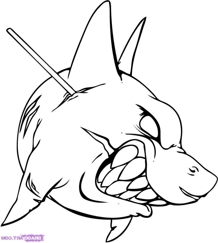 922x1024 Shark Simple Drawing Simple Drawing Of A Shark How To Draw A Shark