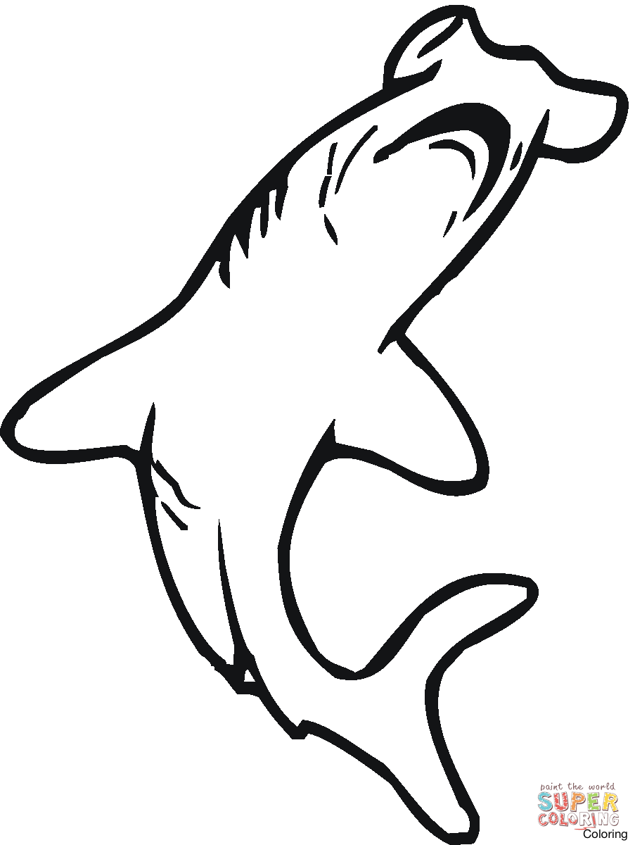903x1200 Simple Shark Drawing Clipart Best Favorite Sites Sharks