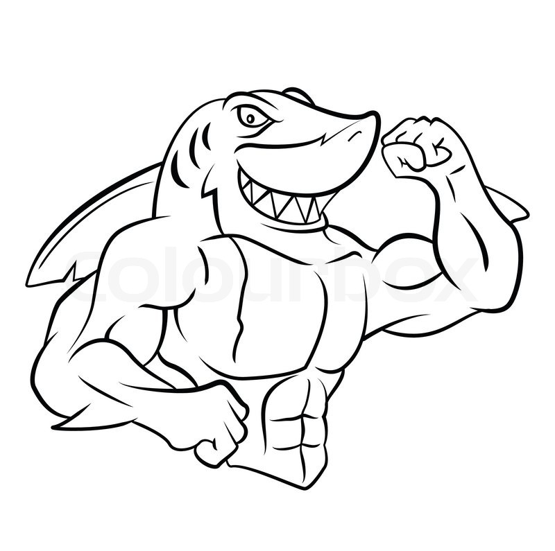 800x795 Cartoon Shark Mascot. Vector Clip Art Illustration With Simple