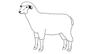 320x180 How To Draw A Sheep, Big Horn Sheep (Simple, Easy Drawing) Music