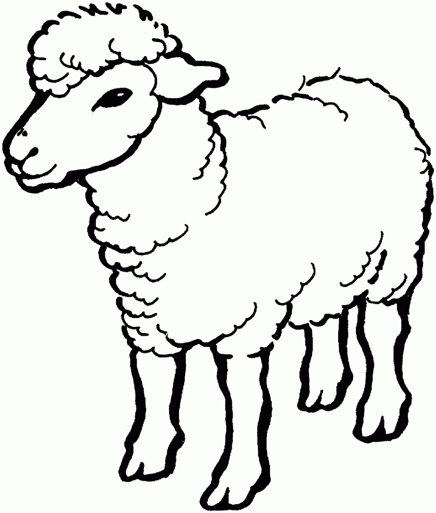 869x1024 Sheep Colouring Pages For Kids
