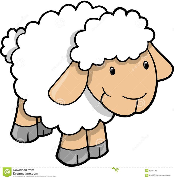 736x759 Sheep Clipart Free