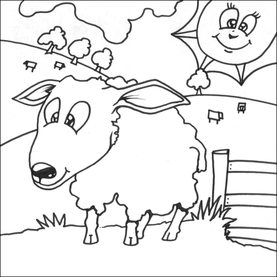 553x553 Sheep Coloring Picture