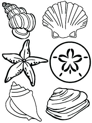 300x400 Seashell Coloring Pages Amazing Seashell Coloring Pages Sea Shells