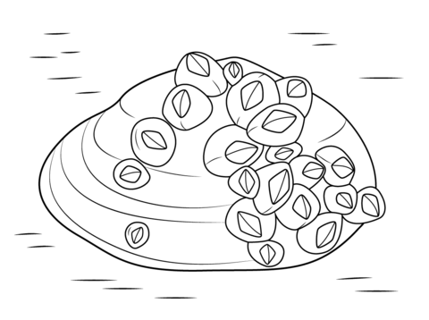480x358 Barnacles On Soft Shell Clam Coloring Page Free Printable