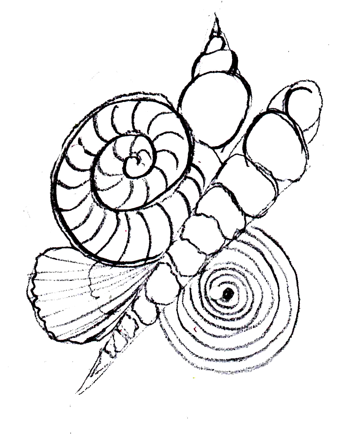 1106x1411 The Sketchbook Challenge Aprils Theme Spirals! Drawing