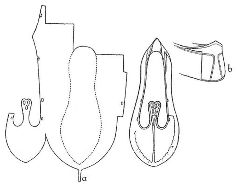 767x605 Irish Brogues And Other Simple Shoes Preindustrial Craftsmanship