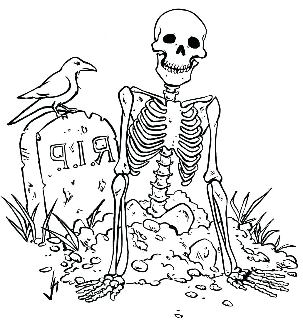 1031x1088 Skeleton Coloring Page. Skeleton Coloring Pages Anatomy Young