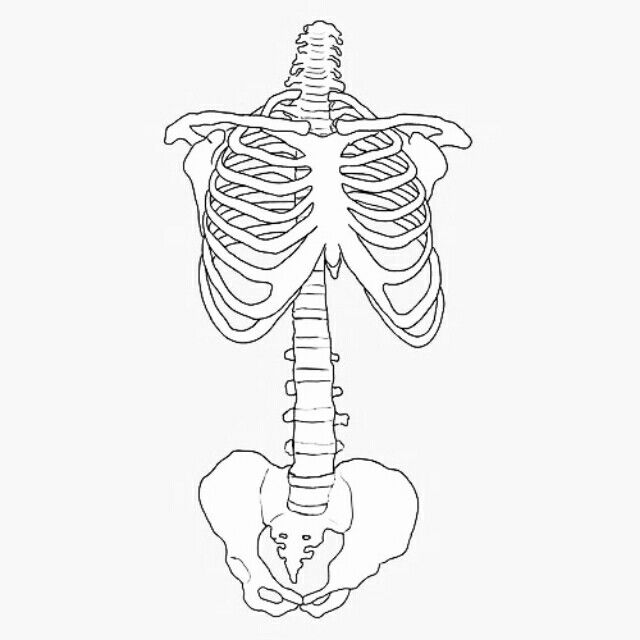 Simple Skeleton Drawing at GetDrawings | Free download