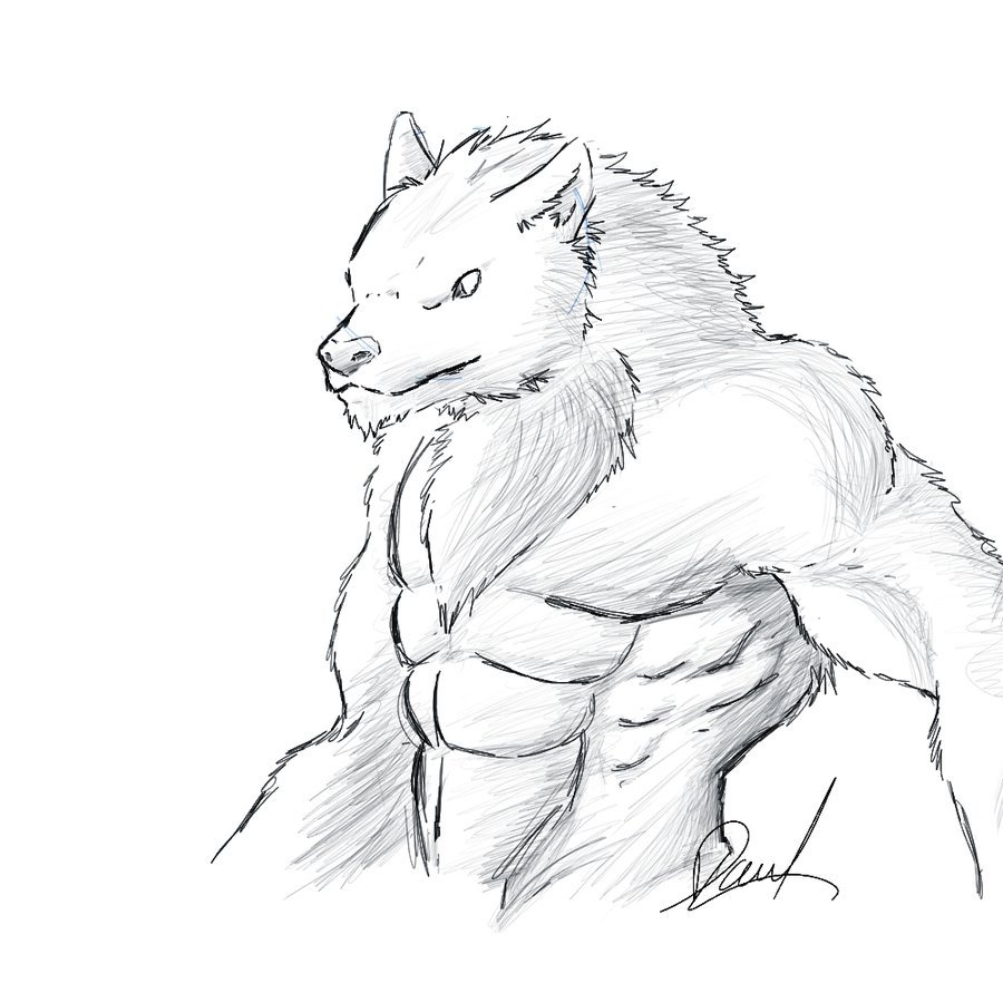 900x900 Simple Lycan Sketch By Wolfthings