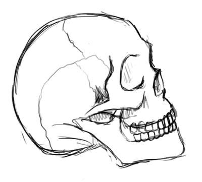 400x361 Skull Test Sketch By Juanx3