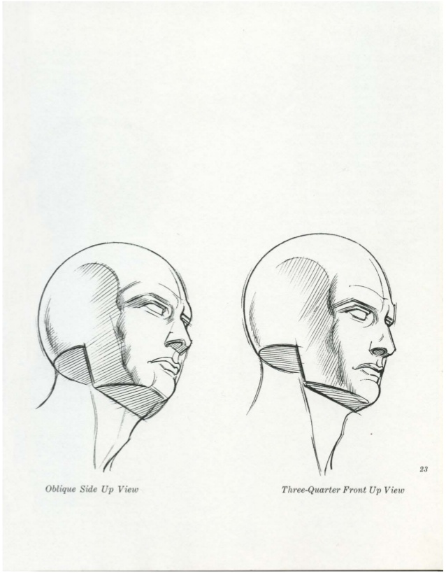 638x819 Burne Hogarth Drawing The Human Head