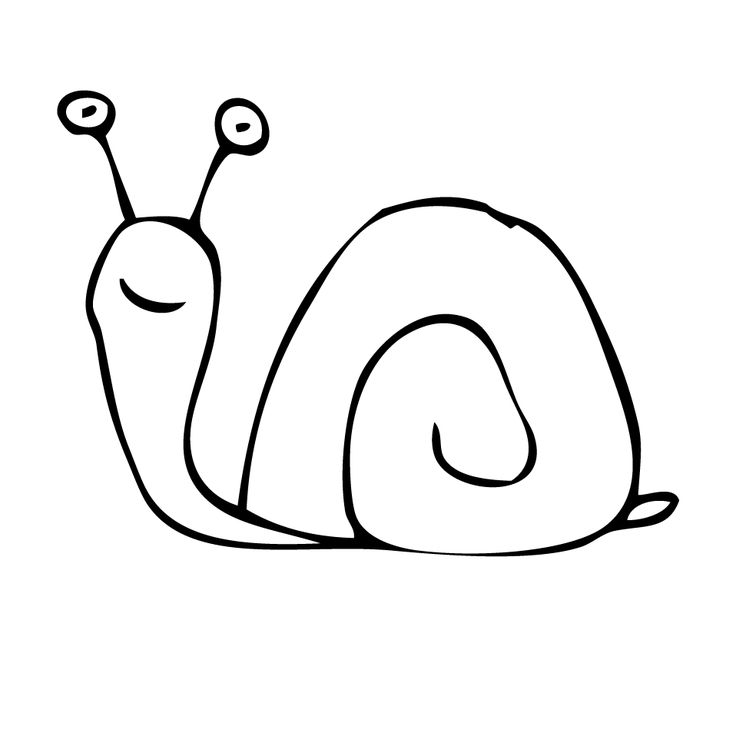 736x736 Png Snail Black And White Transparent Snail Black And White.png