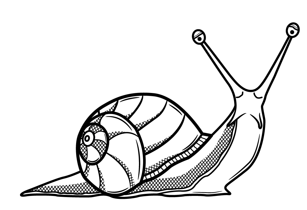 1045x716 Trippy Snail Drawing