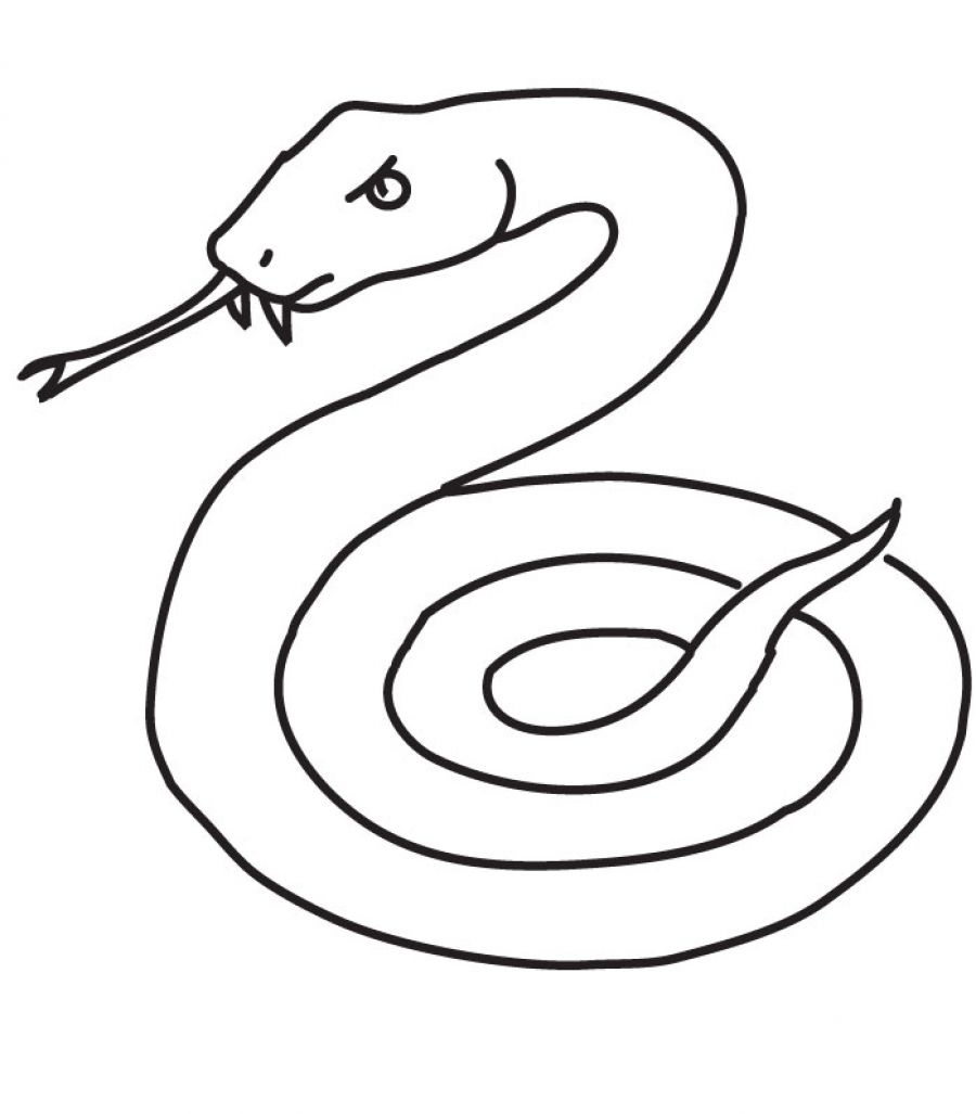 900x1027 50 Free Printable Snake Coloring Pages Huge Collection! Animal