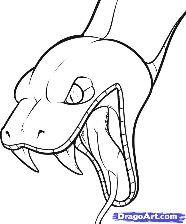 600x722 How To Draw A Snake Head, Draw Snake Heads, Step By Step, Snakes