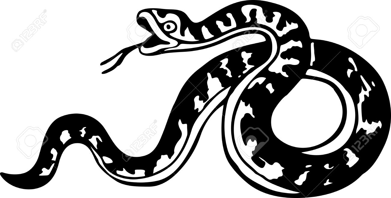1300x658 Simple Black And White Drawing Of A Snake Hissing With It S Tongue