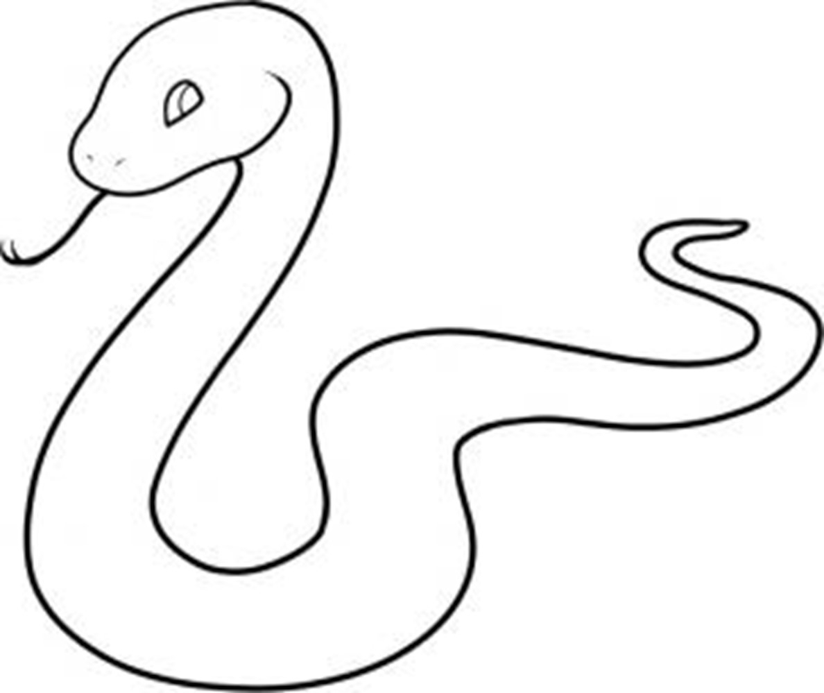 1188x999 Drawing Of A Snake How To Draw A Snake. Easy Step By Step Drawing