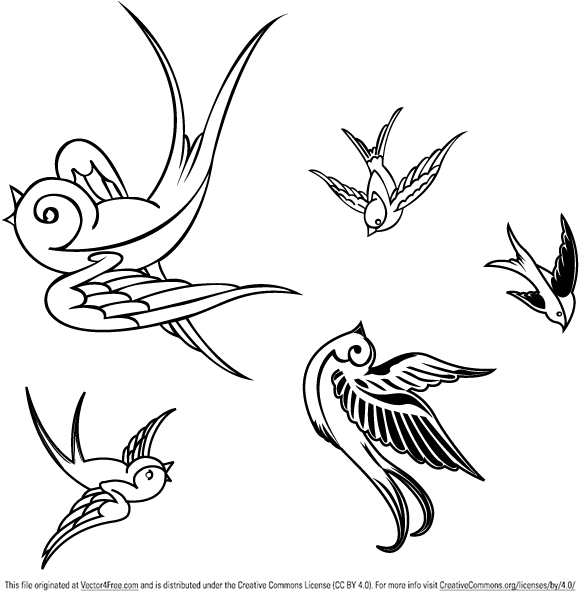 580x599 Free Vector Birds