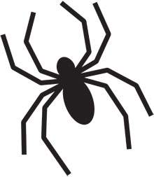 220x253 Halloween Pumpkin Carving Template Spider Ehow