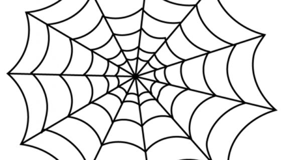 570x320 How To Draw A Spider Web How To Draw A Simple Spider Web Youtube