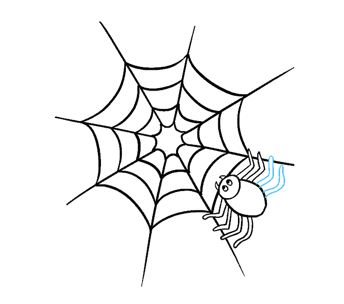 678x600 How To Draw How To Draw A Spider Web With Spider In A Few Easy