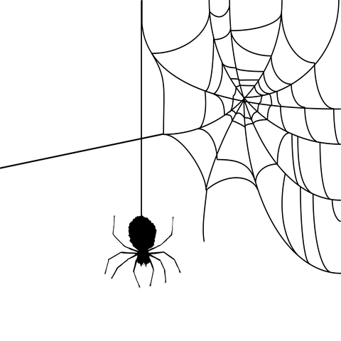 480x480 Simple Spider Web Drawing