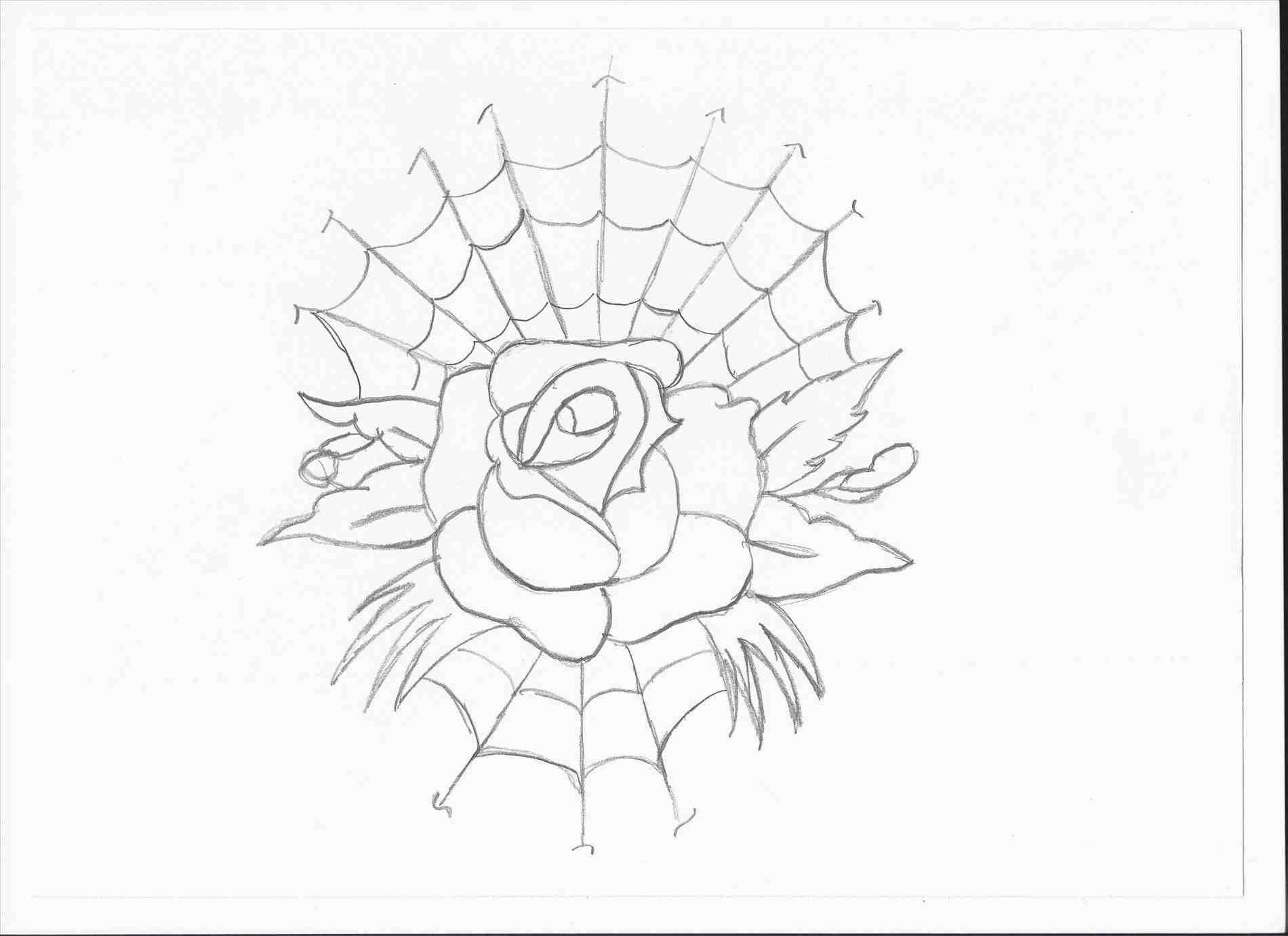 1900x1381 How Drawing Web To Draw Spider Roadrunnersae A Simple Youtube How