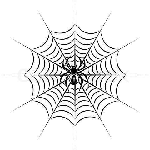 480x480 Simple Spider And Web Sketch