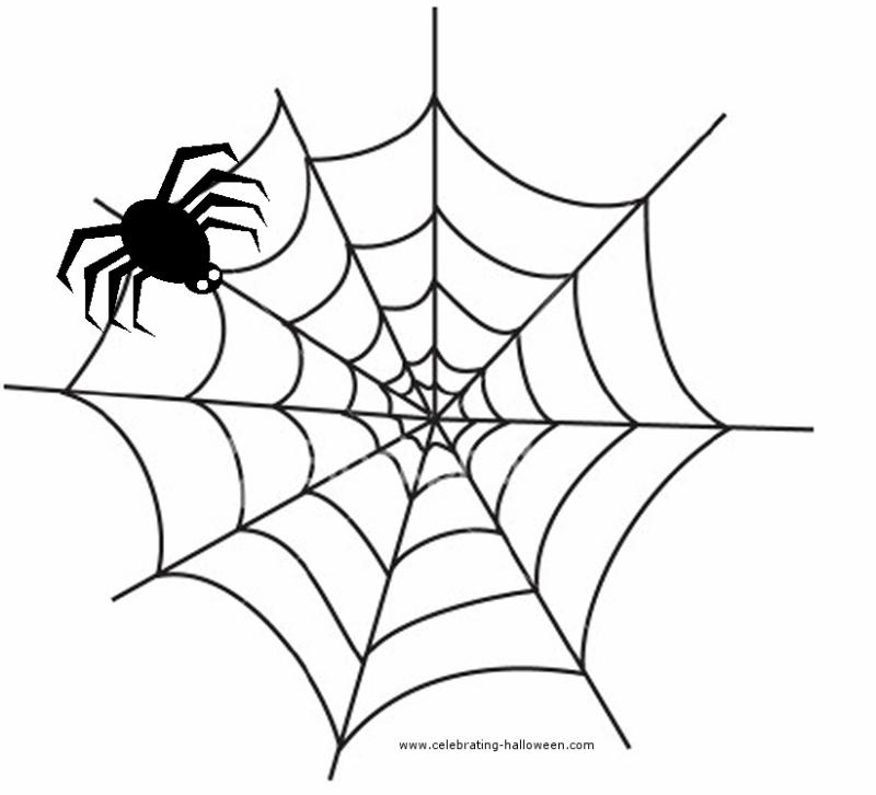Simple Spider Web Drawing at GetDrawings | Free download