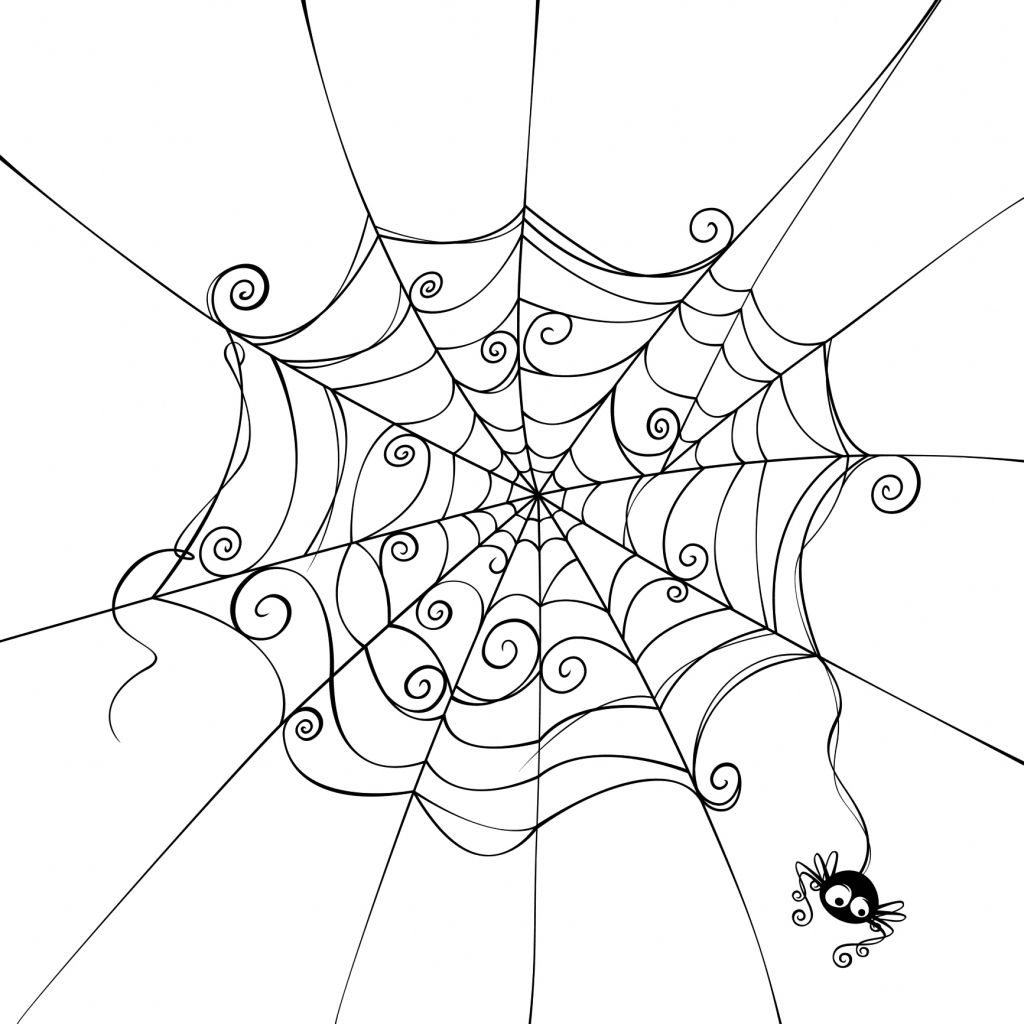 1024x1024 Drawing Of A Spider Web How To Draw A Simple Spider Web Youtube