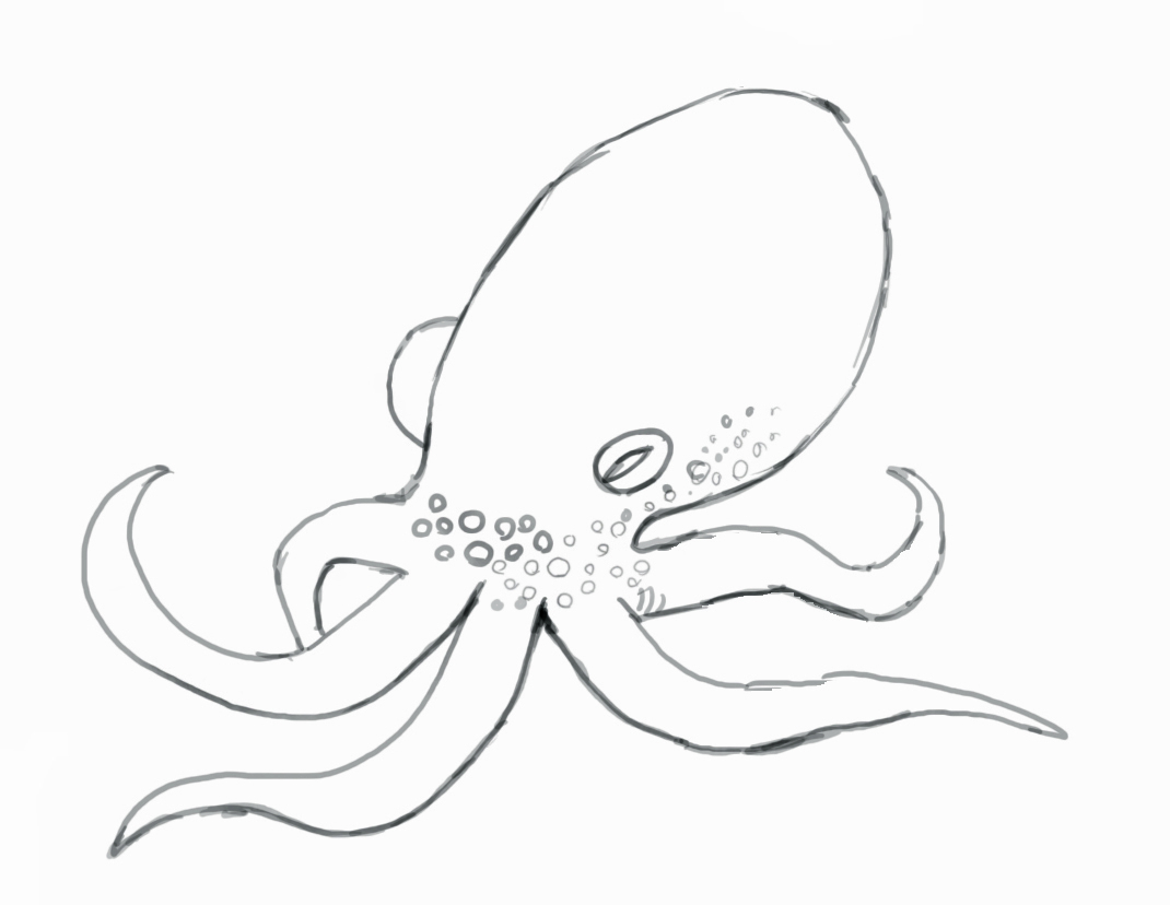 1070x828 Drawing Of A Octopus How To Draw An Octopus Easy Stepstep