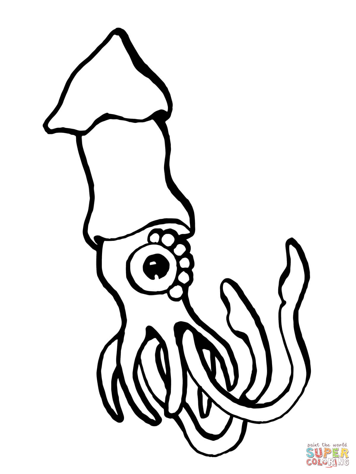 1200x1600 European Squid Coloring Page Free Printable Coloring Pages