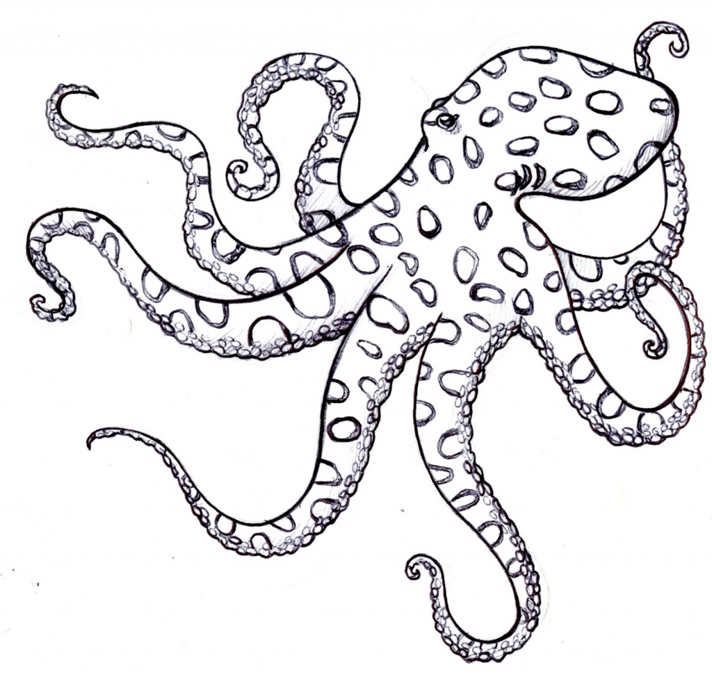 1024x977 Simple Octopus Drawing