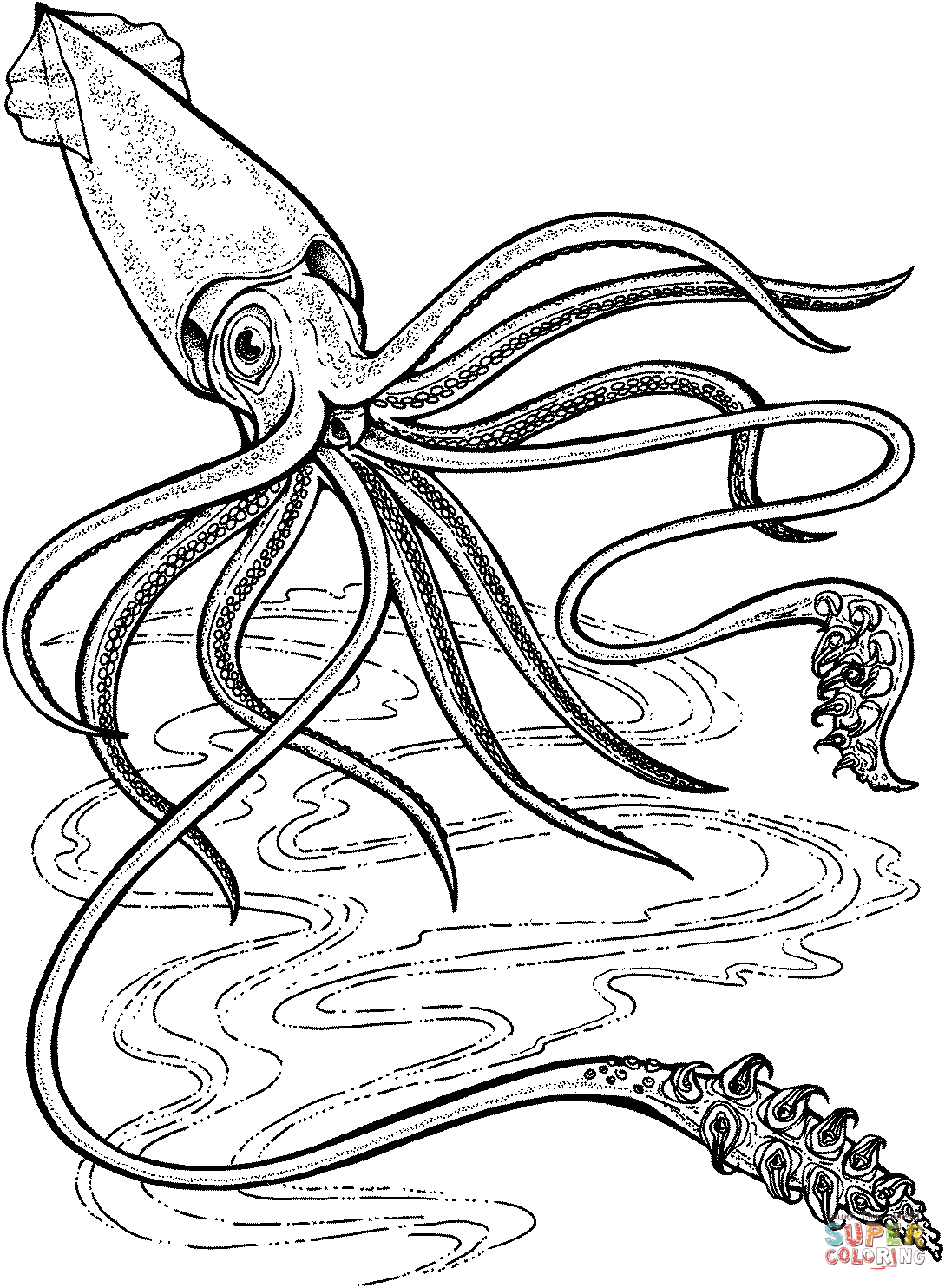 1089x1484 Squid Coloring Sheet Squid Coloring Pages To Print