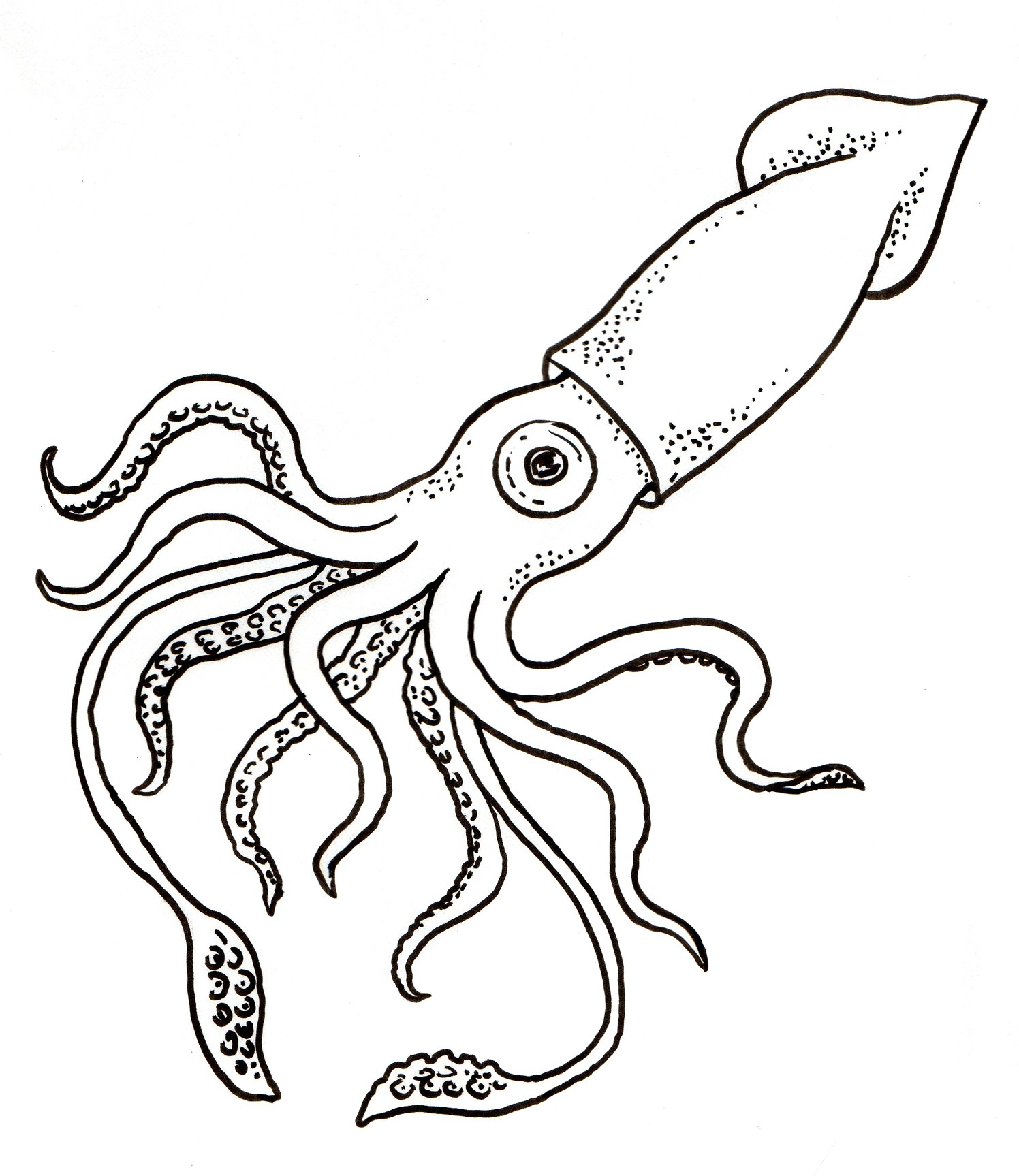 1496x1727 Squid Coloring Page Coloring Page For Kids
