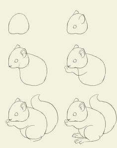 236x299 How To Draw A Squirrel Squirrel, Drawings And Animal