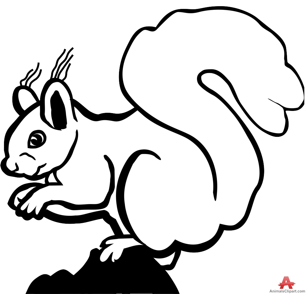 999x954 Outline Drawing Of Animals Squirrel Outline Drawing In Black